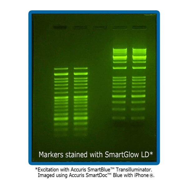 SmartBlue™, gel bands